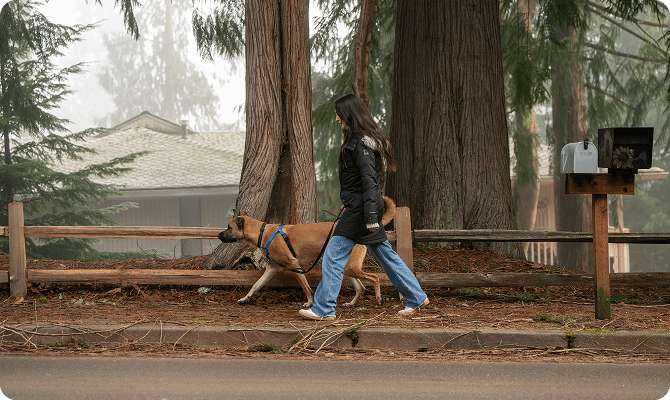 A woman walking her dog in a park