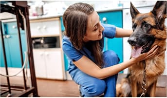 rover protect homepage image of human and pet