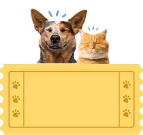 Coupon with a dog and cat